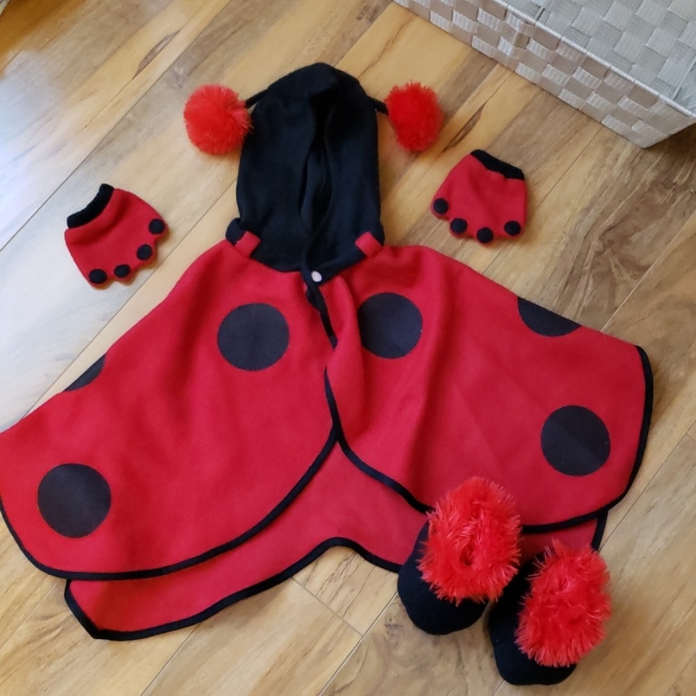 Infant LadyBug costume